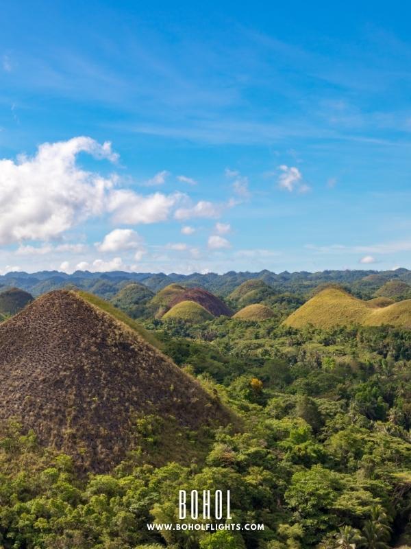 Bohol Travel and Tours